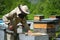 Beekeeper working collect honey. Apiary. Beekeeping concept.