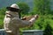 Beekeeper working collect honey. Apiary. Beekeeping concept.