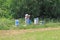 Beekeeper Working in her Bee Yard Checking Hives