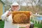 The beekeeper works on a beehive near the hives. Spring work on the apiary.