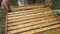 Beekeeper works on takes out frames with honeycombs for check of filling with honey