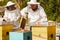 Beekeepers on apiary.