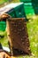 Beekeepers collect honey