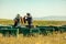 Beekeepers collect honey