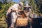 Beekeepers collecting honey in protective costumes