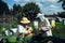 Beekeepers near beehive to ensure health of bee colony or honey harvest. Beekeepers in protective workwear inspecting honeycomb