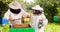 Beekeepers in protective hats and aprons working with honeycombs on apiary