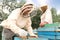 Beekeepers in uniform harvesting honey at apiary