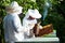 Beekeepers at work collecting honey outdoors.