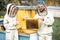 Beekeepers working on the apiary