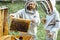 Beekeepers working on the apiary