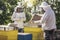 Beekeepers working collect honey. Beekeepers are working with bees and beehives on the apiary