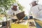 Beekeepers working to collect honey.