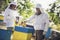 Beekeepers working to collect honey.