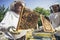 Beekeepers working to collect honey.