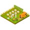 Beekeeping Apiary Farm Isometric Concept Isometric View. Vector