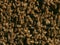 Beekeeping background. Wild honeybee swarm in sunlight. Selective focus. Close up of bees. Swarm of bees, their thousands and the
