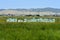 Beekeeping: Bee boxes in summer pasture.