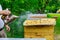 Beekeeping beekeeper treats the hives with smoke before checking the condition of the bee family