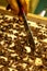 Beekeeping closeup