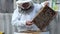 Beekeeping, elderly man in protective outfit with glasses for eyes fumigates bees removes honeycombs from hives to check