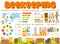 Beekeeping and honey bee products infographics