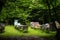 Beekeeping scene with bee hives, bee boxes, and a tree-lined field located in the woods.