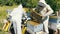 Beekeeping. Two beekeepers in protective suits get honeycombs with honey. Collection of honey from beehives.