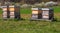 Beekeeping with wooden beeyards