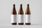 Beer Bottle Mock-Up - Three Bottles. Blank Label