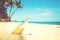 Beer bottle on a sandy beach with palm tree.