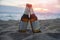 Beer bottle on sandy beach with sunset ocean sea background for beach party