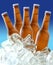 Beer bottles on ice