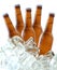 Beer bottles on ice