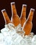 Beer bottles on ice