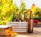 Beer bottles and potato chips on wooden table with blurred forrest on background,coloured bottle, food and drink concept