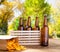 Beer bottles and potato chips on wooden table with blurred park on background,coloured bottle, food and drink concept,selective fo