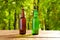 Beer bottles on table on blurred park background,coloured bottle