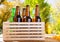 Beer bottles on wooden table with blurred forrest on background, coloured bottle, food and drink concept,selective focus,copy spac