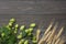 Beer brewing ingredients Hop and wheat ears on dark wooden table. Beer brewery concept. Beer background. Top view with copy space