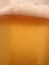 Beer closeup