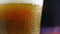 Beer closeup. Pint of cold Craft beer isolated on matte black background, rotation 360 degrees. Glass of beer with water