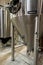 Beer fermenter tank