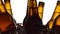 Beer festival, bottles stand in pieces of ice. White background. Silhouette. Close up