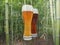 beer glass with bamboo canes