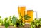 Beer in glass and mug with hops plant cones and branch isolated on white background on wooden table Board