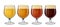 Beer glass vector set. Lager and ale, amber stout glasses on white