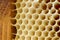 Beer honey in honeycombs.