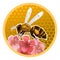 Beer honey jar lid design concept. Packaging design. Printing on plastic or metal can lids. A bee on a background of bee honeycomb
