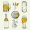 Beer set with mug, bottle, can, wheat elements. Vector illustration.